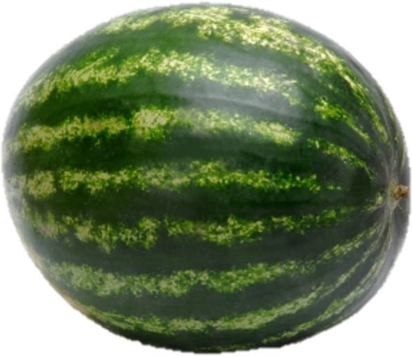 http://www.thewiring.com/wp-content/uploads/2011/06/watermelon.jpg