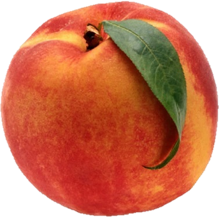 http://simplydivinescents.com/image/cache/data/tuttiFruitti/peach-900x900.jpeg