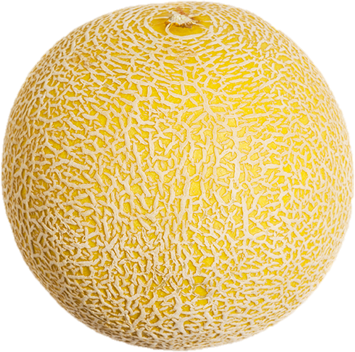 http://www.unexport.es/images/Melones/MelonGalia.jpg