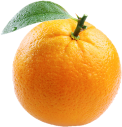 http://globe-views.com/dcim/dreams/orange/orange-03.jpg
