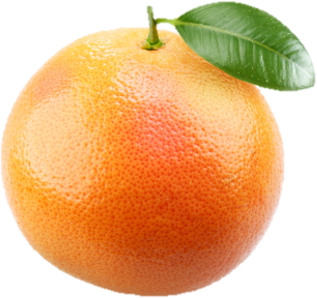 http://www.spine-health.com/files/blog-images/Grapefruit.jpg